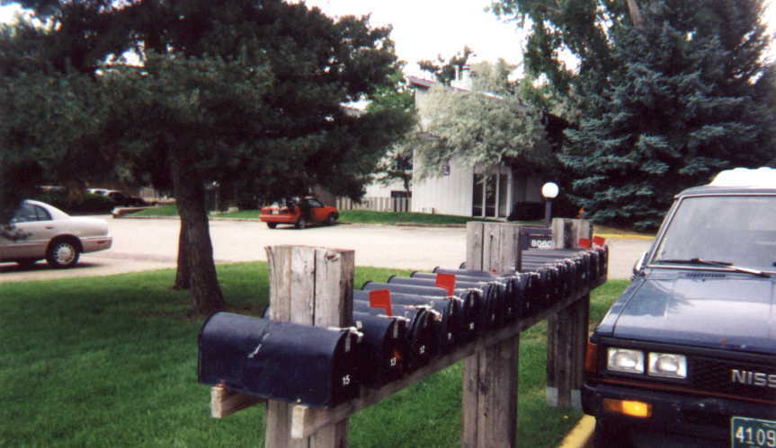 more_mail_delivery